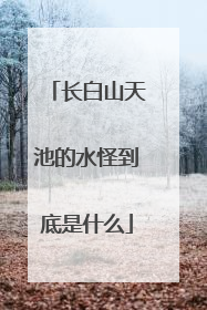 长白山天池的水怪到底是什么