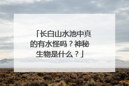 长白山水池中真的有水怪吗?神秘生物是什么?