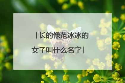 长的像范冰冰的女子叫什么名字