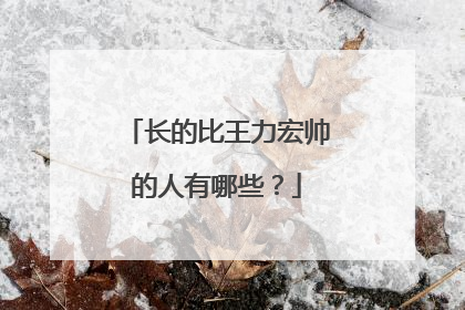 长的比王力宏帅的人有哪些？