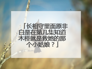 长相守里面原非白是在第几集知道木槿就是救她的那个小姑娘？