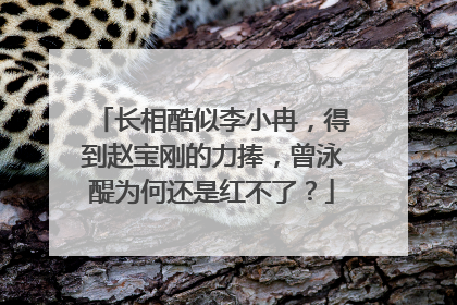 长相酷似李小冉，得到赵宝刚的力捧，曾泳醍为何还是红不了？