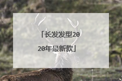 长发发型2020年最新款