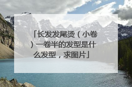 长发发尾烫(小卷)一卷半的发型是什么发型,求图片