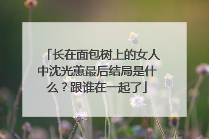 长在面包树上的女人中沈光蕙最后结局是什么?跟谁在一起了
