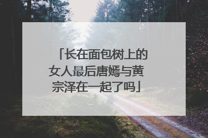 长在面包树上的女人最后唐嫣与黄宗泽在一起了吗