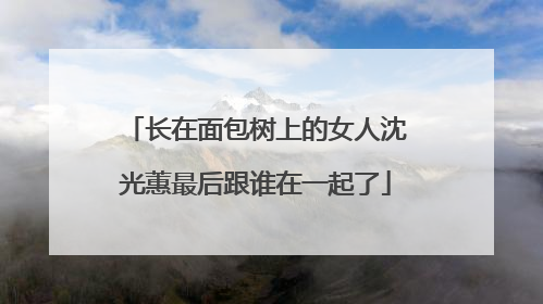长在面包树上的女人沈光蕙最后跟谁在一起了
