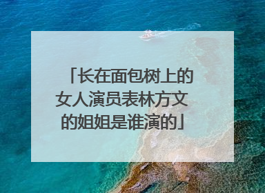 长在面包树上的女人演员表林方文的姐姐是谁演的