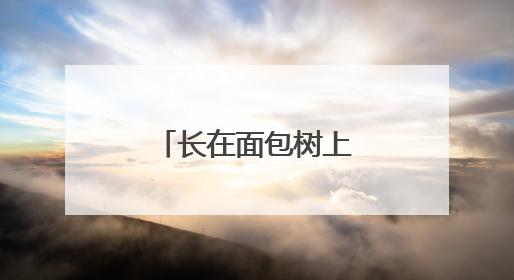 长在面包树上的女人演安小禄的是谁演的