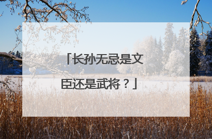 长孙无忌是文臣还是武将？