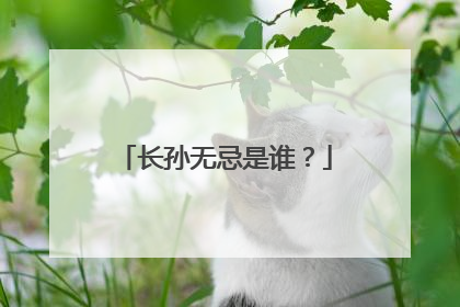 长孙无忌是谁？