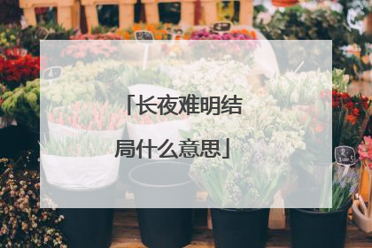 长夜难明结局什么意思