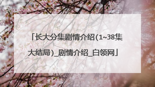 长大分集剧情介绍(1~38集大结局)_剧情介绍_白领网