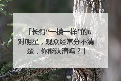 长得“一模一样”的6对明星,观众经常分不清楚,你能认清吗?