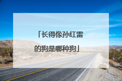 长得像孙红雷的狗是哪种狗