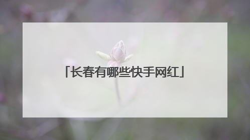 长春有哪些快手网红