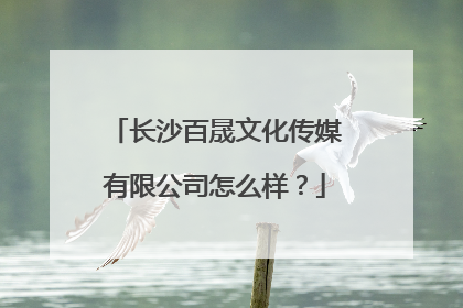 长沙百晟文化传媒有限公司怎么样?