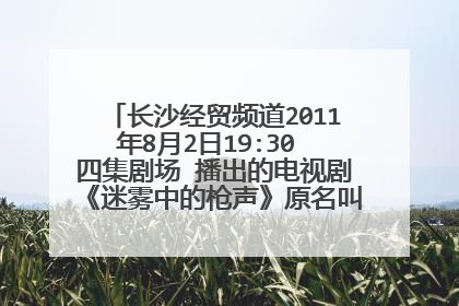 长沙经贸频道2011年8月2日19:30 四集剧场 播出的电视剧《迷雾中的枪声》原名叫什么？王学兵主演的