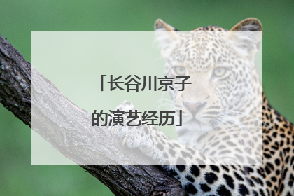 长谷川京子的演艺经历