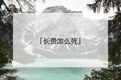长贵怎么死