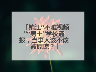 镇江“不雅视频”“男主”学校通报,当事人该不该被原谅?