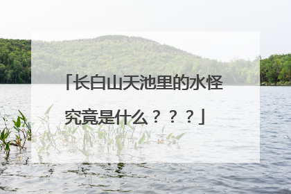 长白山天池里的水怪究竟是什么？？？