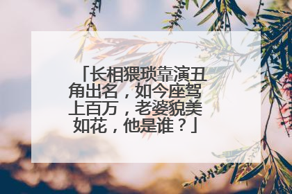 长相猥琐靠演丑角出名，如今座驾上百万，老婆貌美如花，他是谁？