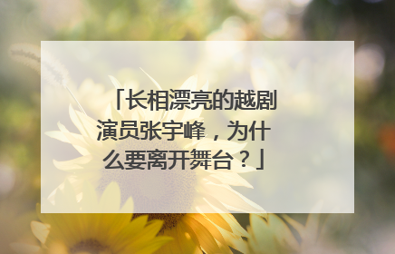 长相漂亮的越剧演员张宇峰，为什么要离开舞台？