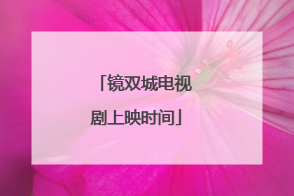 镜双城电视剧上映时间