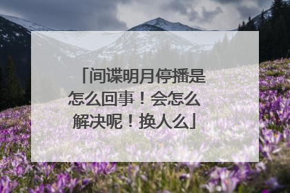 间谍明月停播是怎么回事!会怎么解决呢!换人么