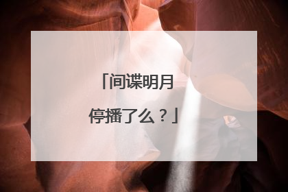 间谍明月 停播了么？