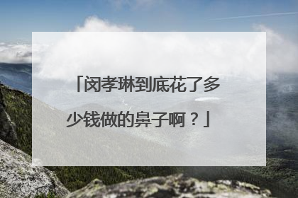 闵孝琳到底花了多少钱做的鼻子啊?