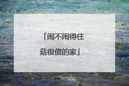 闹不闹得住菇很傻的家