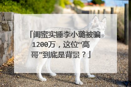 闺蜜实锤李小璐被骗1200万,这位“高哥”到底是背景?