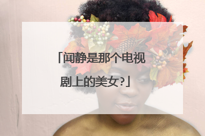 闻静是那个电视剧上的美女?