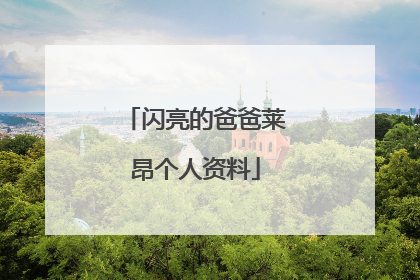 闪亮的爸爸莱昂个人资料