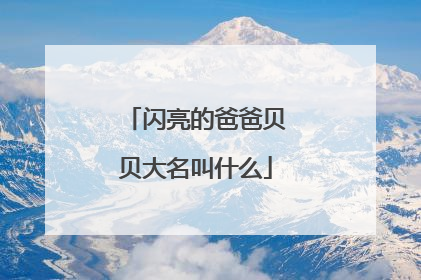 闪亮的爸爸贝贝大名叫什么