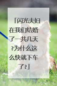 闪光夫妇在我们结婚了一共几天?为什么这么快就下车了?