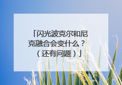 闪光波克尔和尼克融合会变什么?(还有问题)