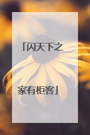 闪天下之家有柜客