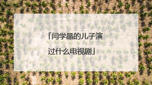 闫学晶的儿子演过什么电视剧