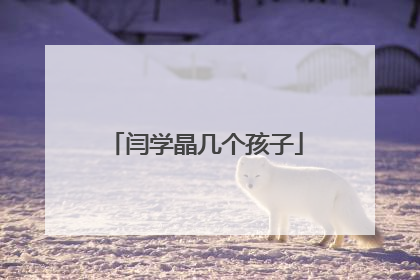 闫学晶几个孩子