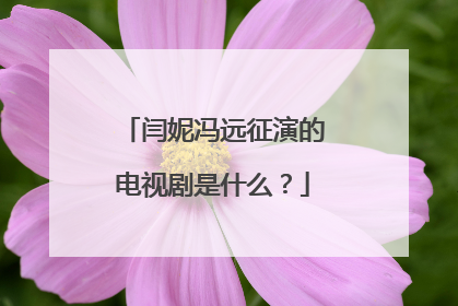 闫妮冯远征演的电视剧是什么？
