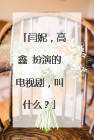 闫妮,高鑫 扮演的电视剧,叫什么?