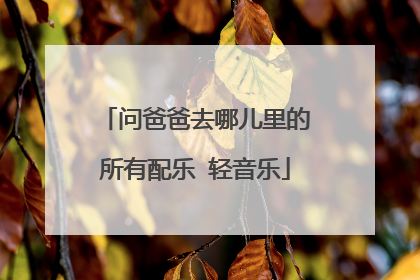 问爸爸去哪儿里的所有配乐 轻音乐