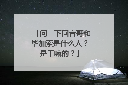 问一下回音哥和毕加索是什么人?是干嘛的?