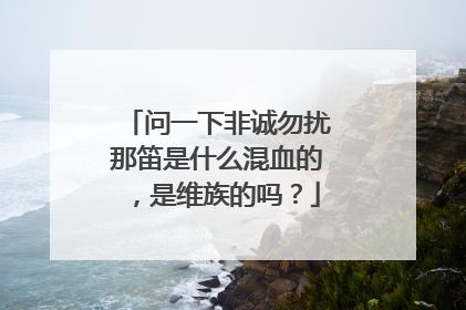 问一下非诚勿扰那笛是什么混血的,是维族的吗?