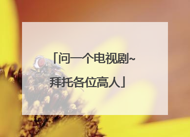 问一个电视剧~拜托各位高人