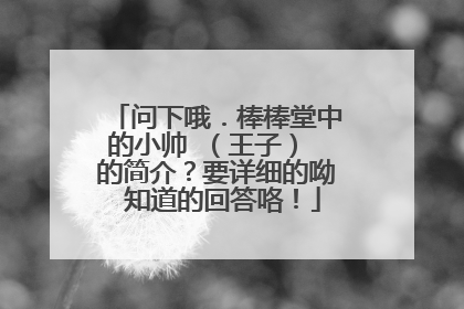 问下哦．棒棒堂中的小帅 （王子） 的简介？要详细的呦 知道的回答咯！