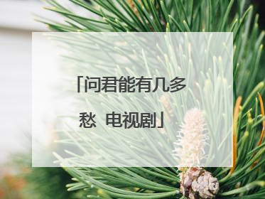 问君能有几多愁 电视剧